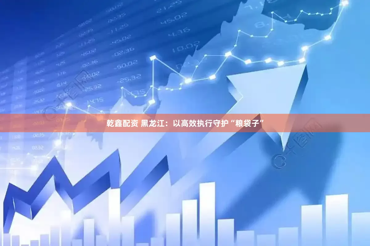 乾鑫配资 黑龙江：以高效执行守护“粮袋子”
