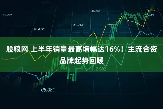 股粮网 上半年销量最高增幅达16%！主流合资品牌起势回暖