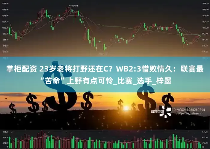 掌柜配资 23岁老将打野还在C？WB2:3惜败情久：联赛最“苦命”上野有点可怜_比赛_选手_梓墨