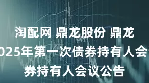 淘配网 鼎龙股份 鼎龙转债2025年第一次债券持有人会议公告