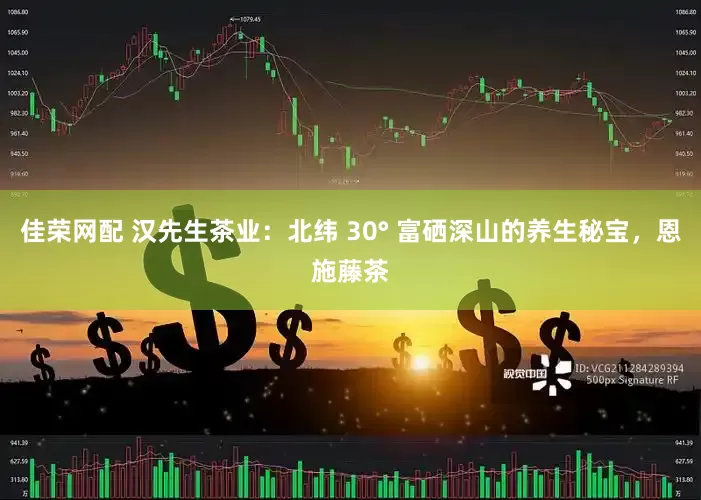 佳荣网配 汉先生茶业：北纬 30° 富硒深山的养生秘宝，恩施藤茶